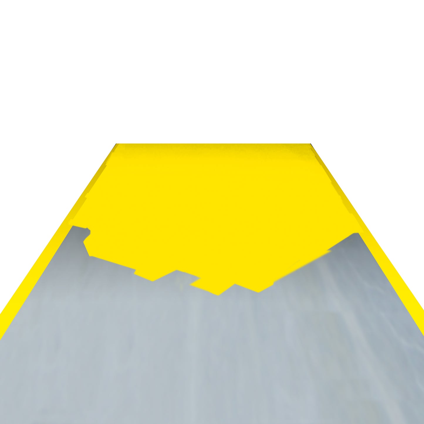 PROline-paint Hallenmarkierfarbe