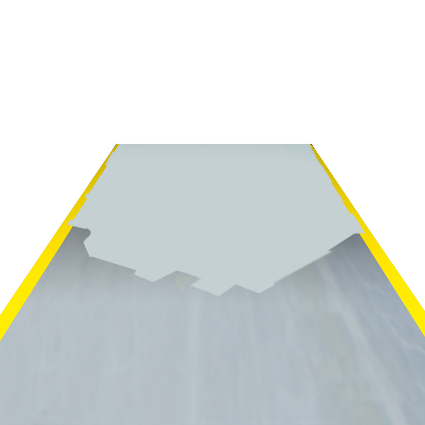 PROline-paint Hallenmarkierfarbe