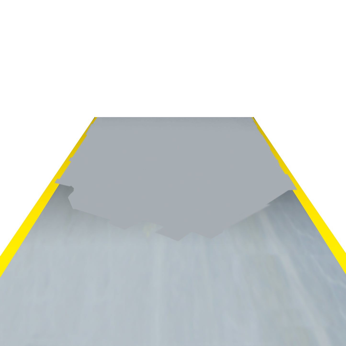 PROline-paint Hallenmarkierfarbe